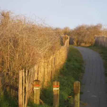 Bed & Breakfast Sable D'o -vlak Aan De Zee- 5*