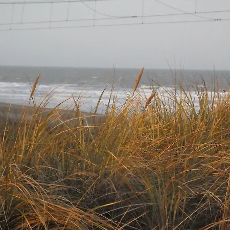 Sable D'o -vlak Aan De Zee- 5* Oostende