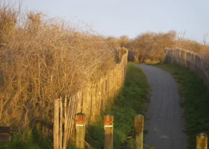 Alojamento de Acomodação e Pequeno-almoço Sable D'o -vlak Aan De Zee- 5*