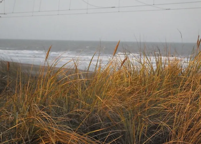 Sable D'o -vlak Aan De Zee- 5* Ostend